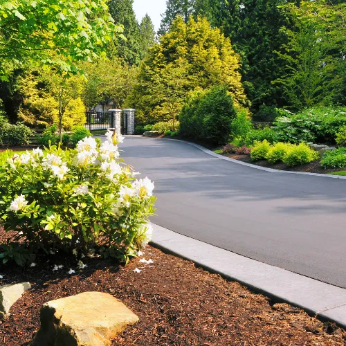 Clean Driveway in Mount Sheridan