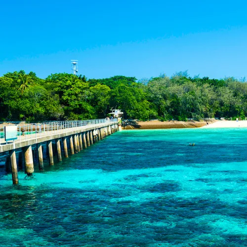 PalmCove Jetty