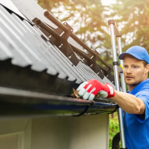 Professional Gutter Cleaning in Cairns North