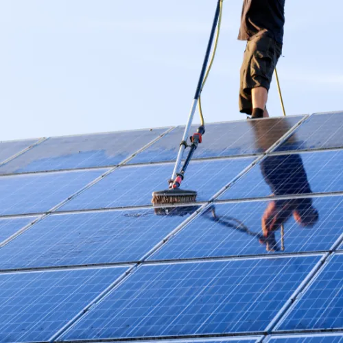 Solar panel cleaned in Palm Cove