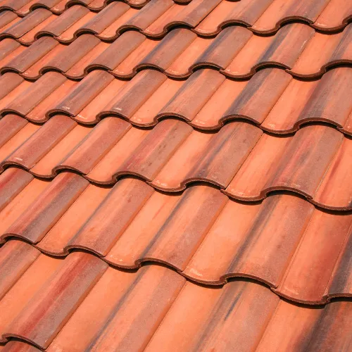 Tile Roof Cleaning